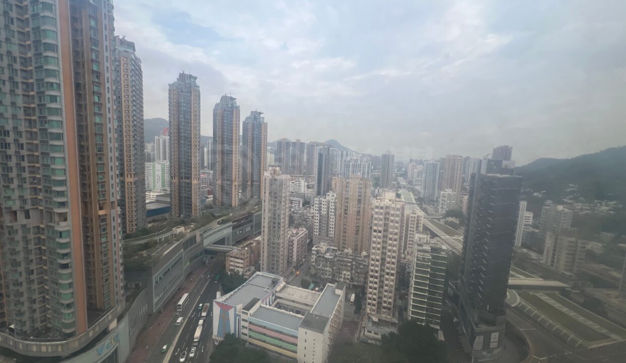 73e64053-2c28-4e39-a5b1-3663ae54a945.jpeg