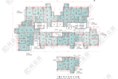 78930_2000_Ricacorp.png