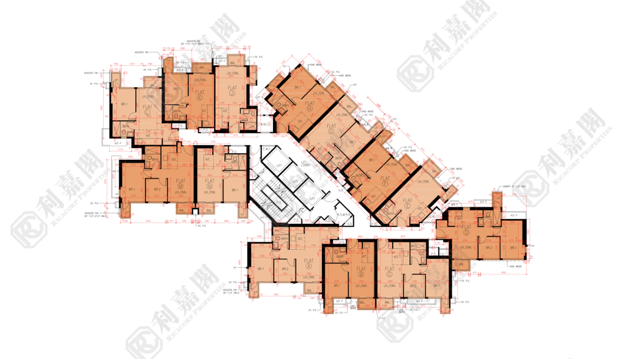 78991_2000_Ricacorp.png