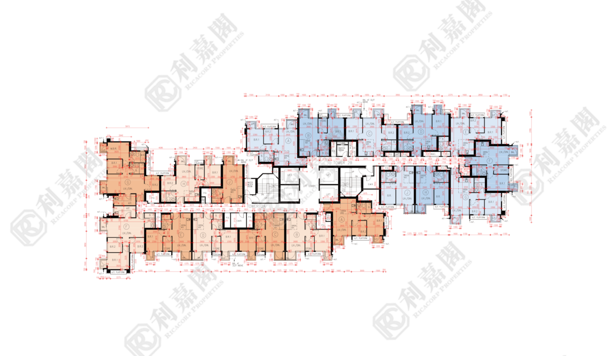 79521_2000_Ricacorp.png