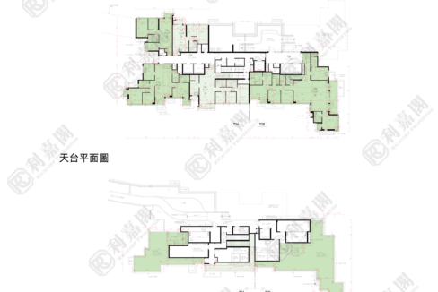 79556_2000_Ricacorp.png