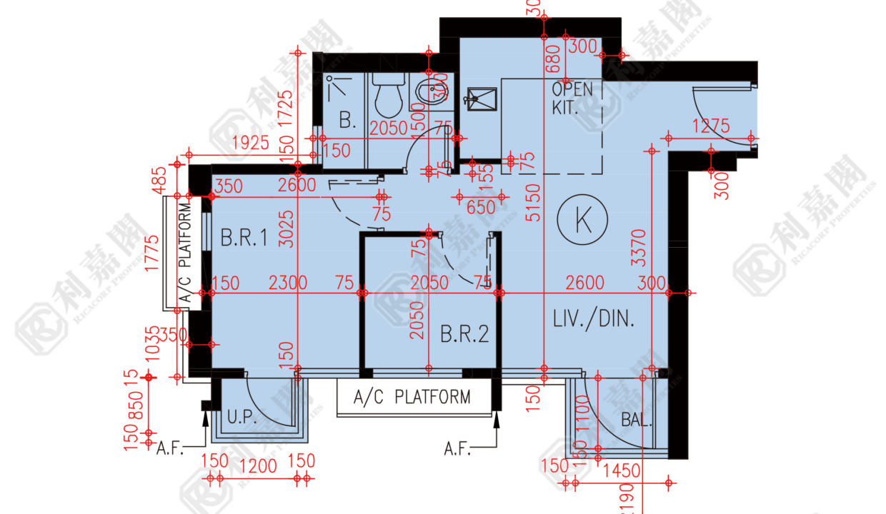 80879_2000_Ricacorp.png