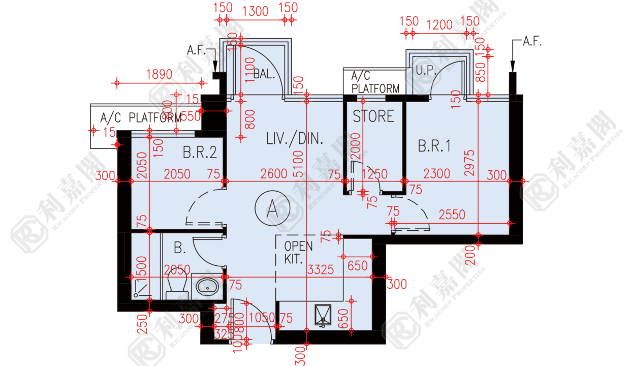 80882_2000_Ricacorp.png