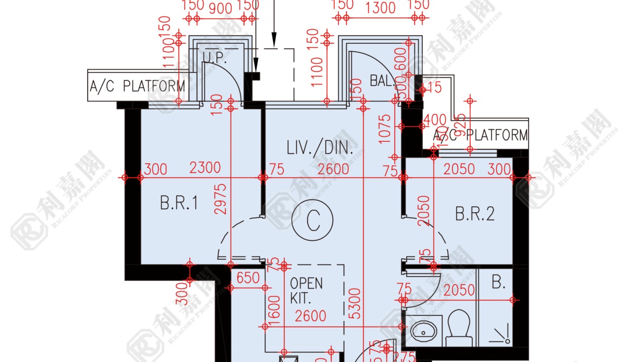 82375_2000_Ricacorp.png