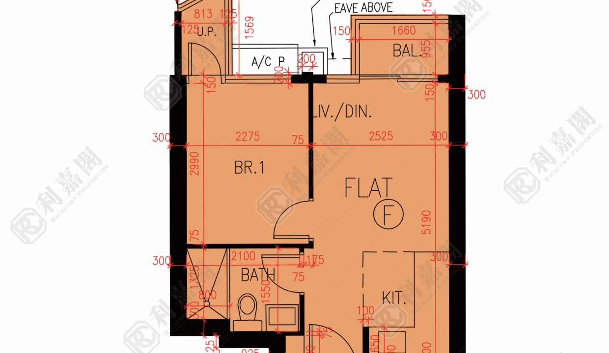 84162_2000_Ricacorp.png