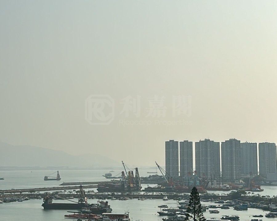 8e57c335-6ce8-4e58-903f-6ab685788644.jpeg