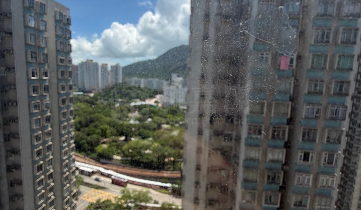 ae56fc93-902d-4535-a625-14240b794f14.jpeg