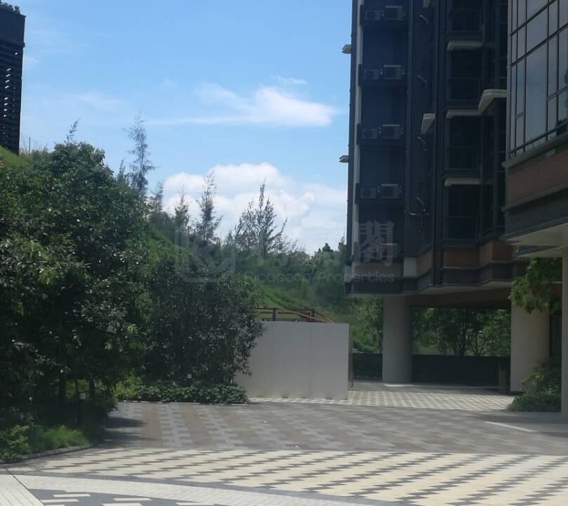 d7577505-db0e-46ab-8796-dc046773dc24.jpeg