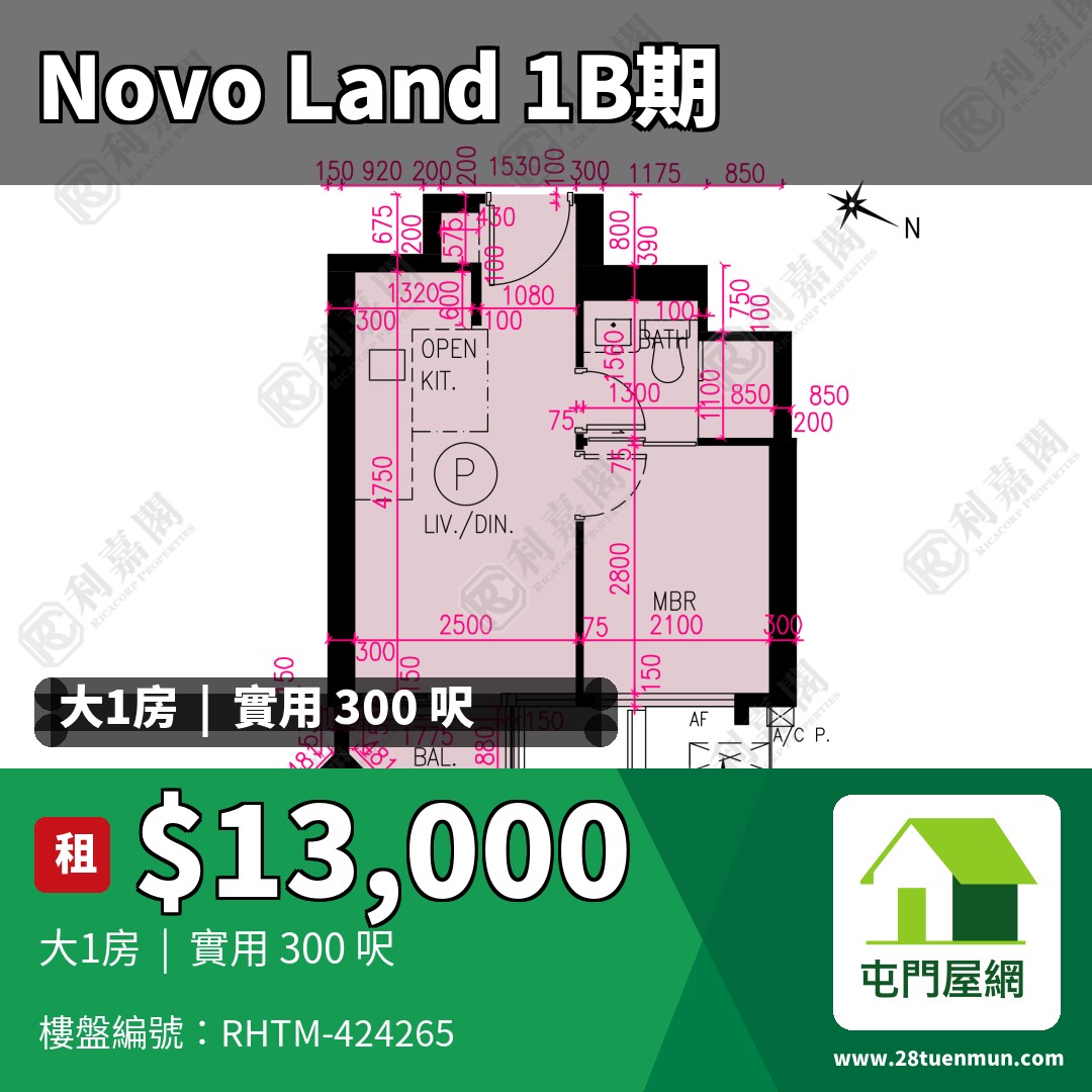NOVO LAND 1B期 Bergen 3座 - 屯門屋網 28tuenmun.com